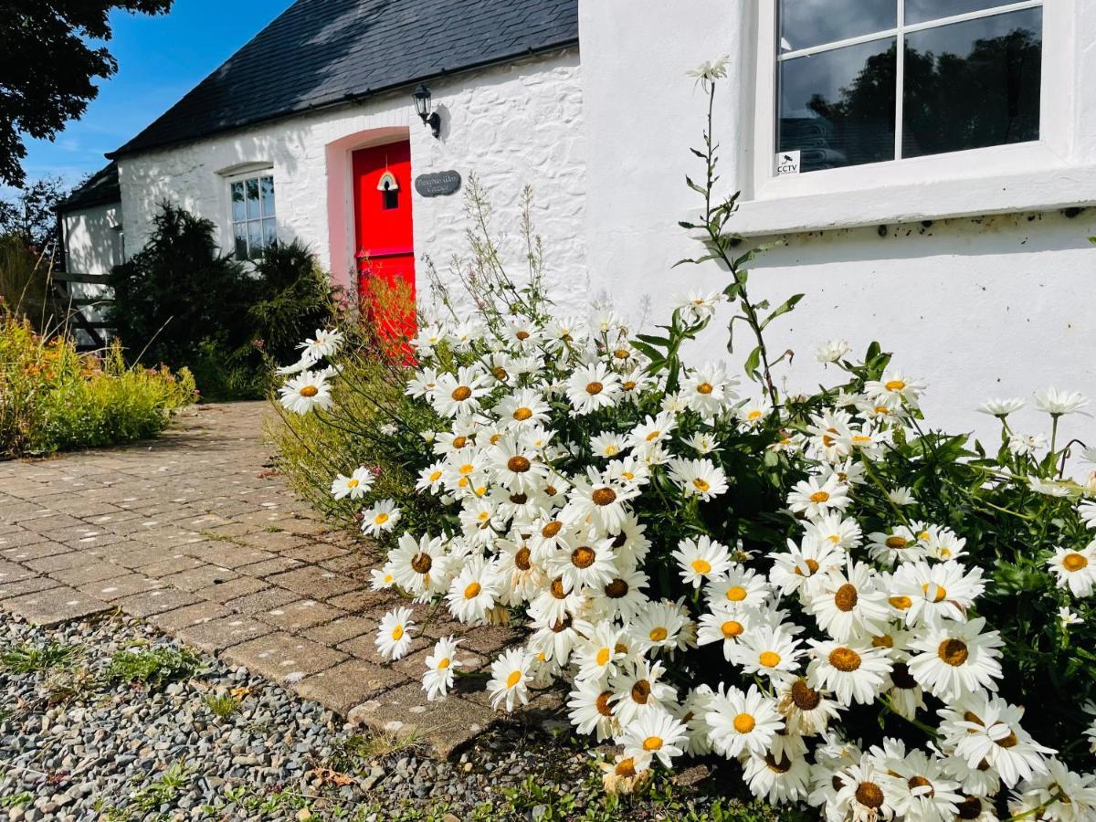 The Dairy @ Trefechan Wen Villa Goodwick Exterior photo